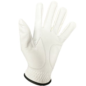 Golf Punk Premium Half Leather/ Half All Weather Golf Glove L/H