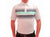 Ahead USA Tour White Stripe Polo Shirt - Parrot/Ink  MP47